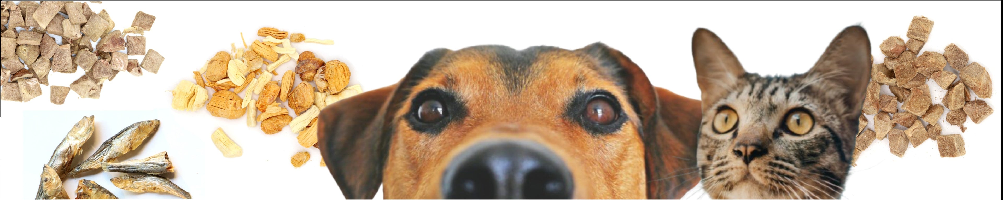 Zubehör Hunde & Katzen