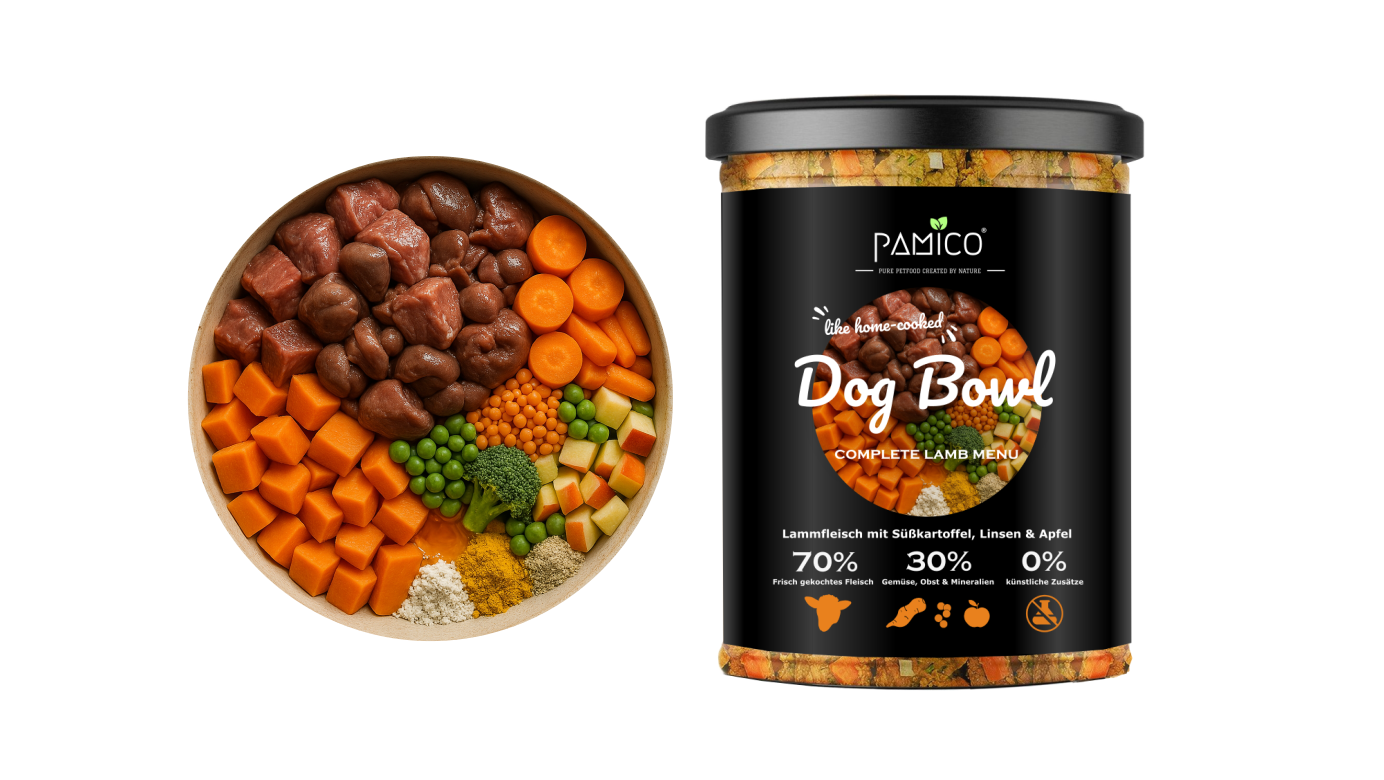 Nassfutter DOG BOWL Hundefutter im Glas