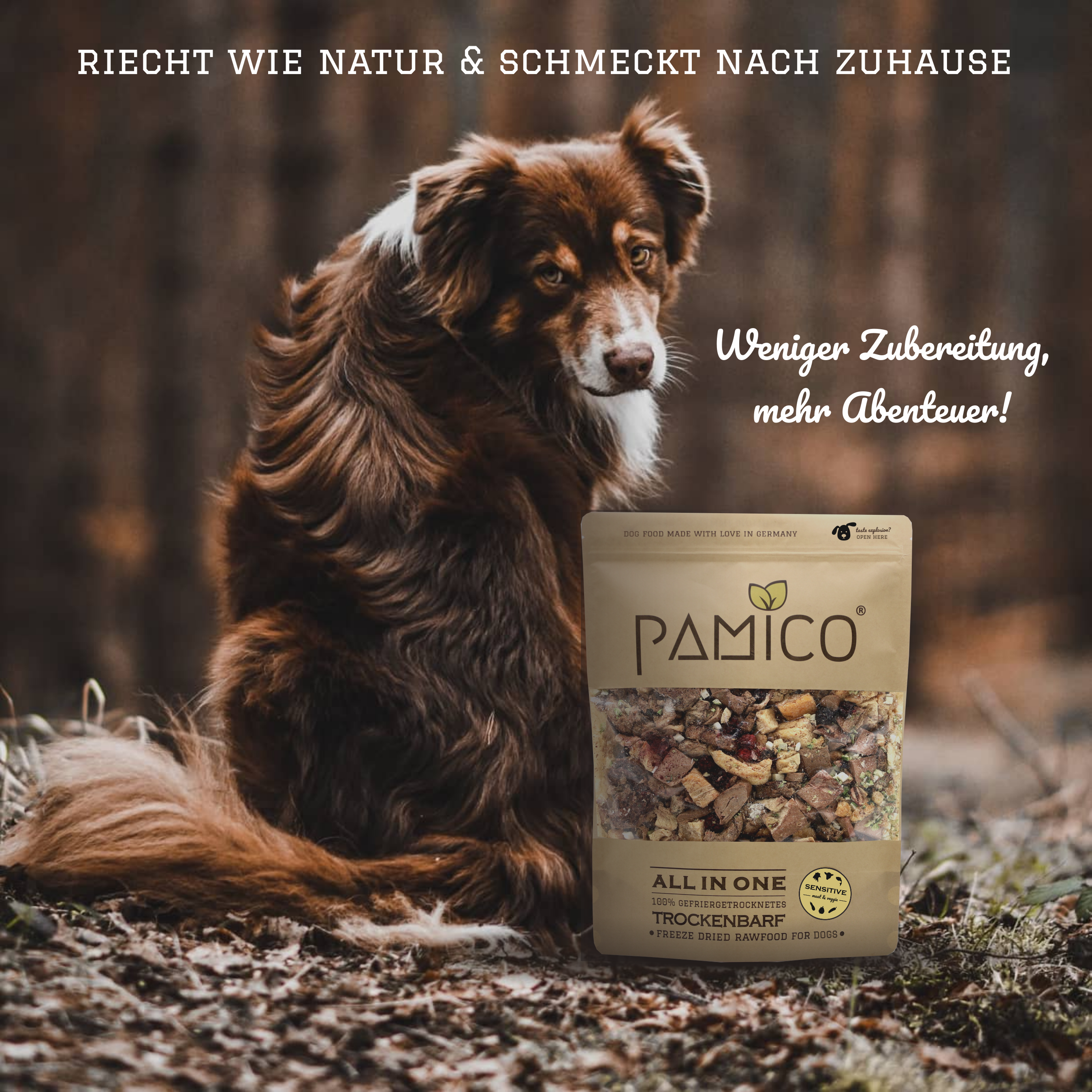 Trockenbarf Menü Sensitive - All in One Huhn, Lachs, Zucchini & Brombeere gefriergetrocknet für Hunde Pamico