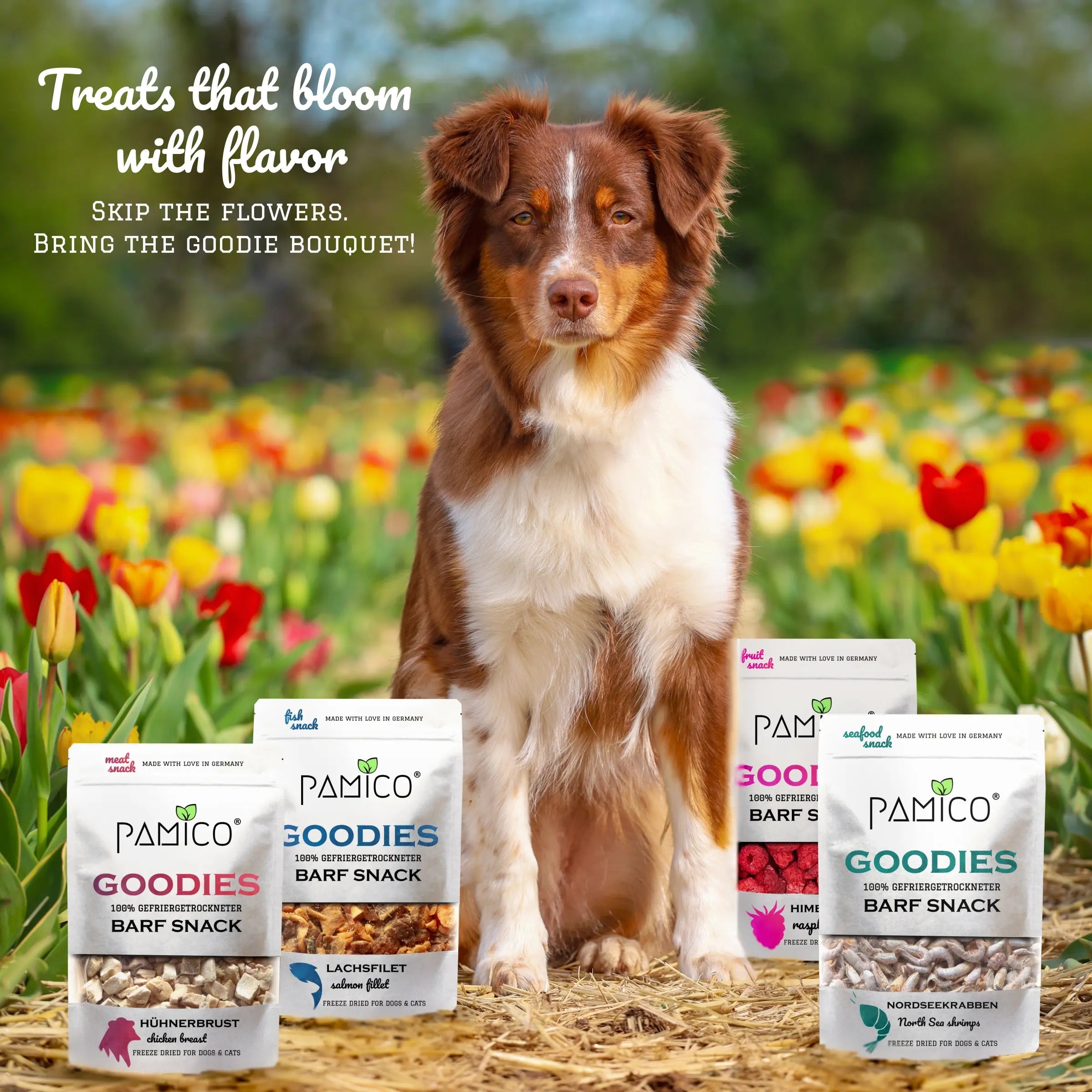 Gefriergetrocknete Sprotten Goodies für Hunde & Katzen – Fisch-Snack mit hochwertigem Eiweiß & Vitamin D Pamico