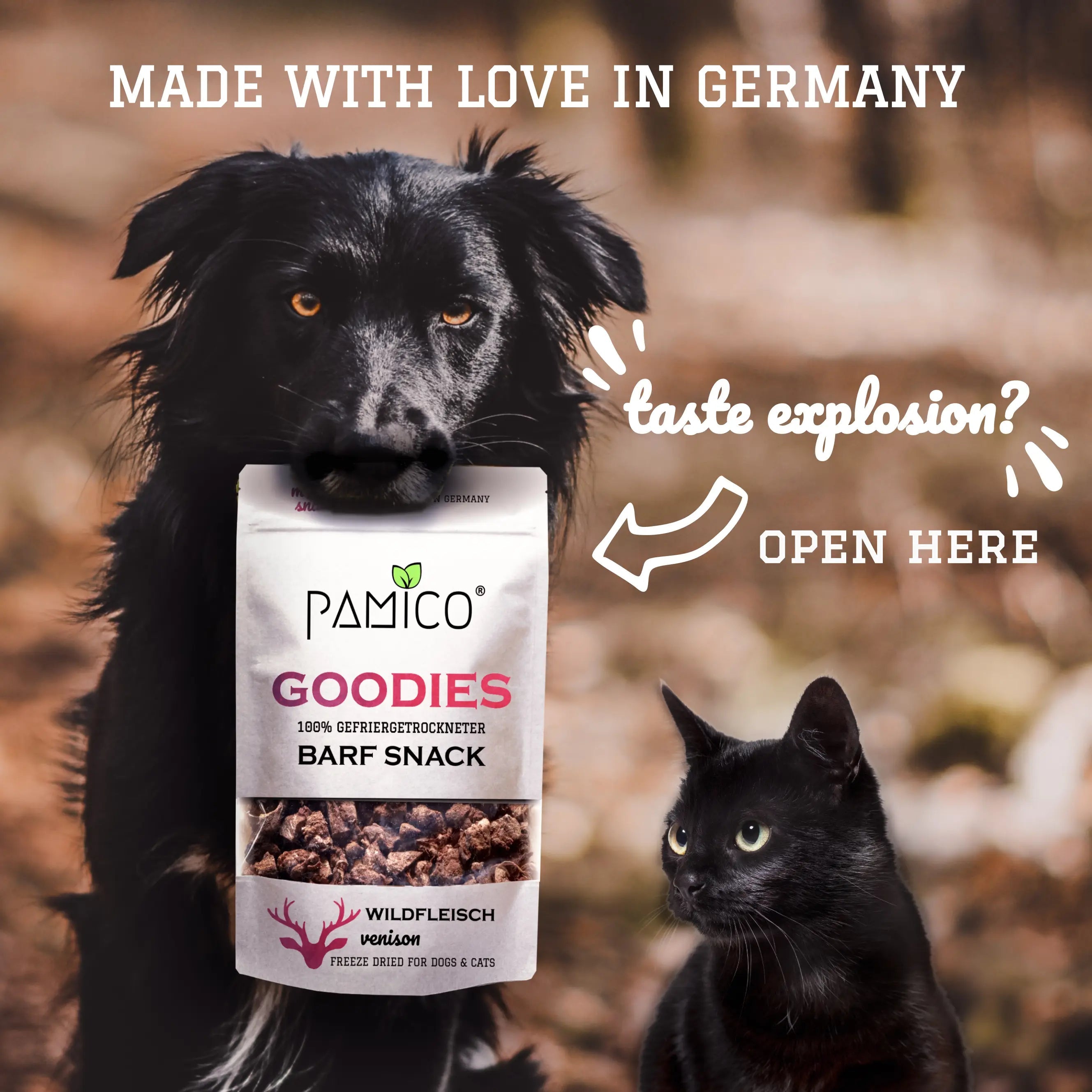 Gefriergetrocknete Sprotten Goodies für Hunde & Katzen – Fisch-Snack mit hochwertigem Eiweiß & Vitamin D Pamico