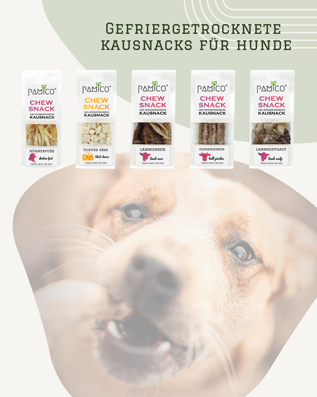 Hühnerfüße gefriergetrocknet | natürlich & geruchsarmer Kauartikel für Hunde - Pamico