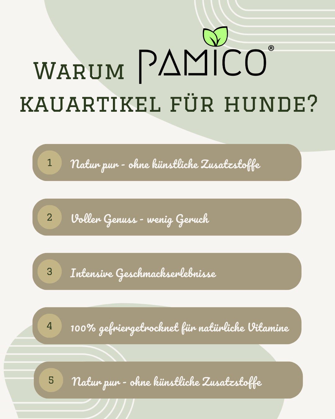 Hühnerfüße gefriergetrocknet | natürlich & geruchsarmer Kauartikel für Hunde - Pamico