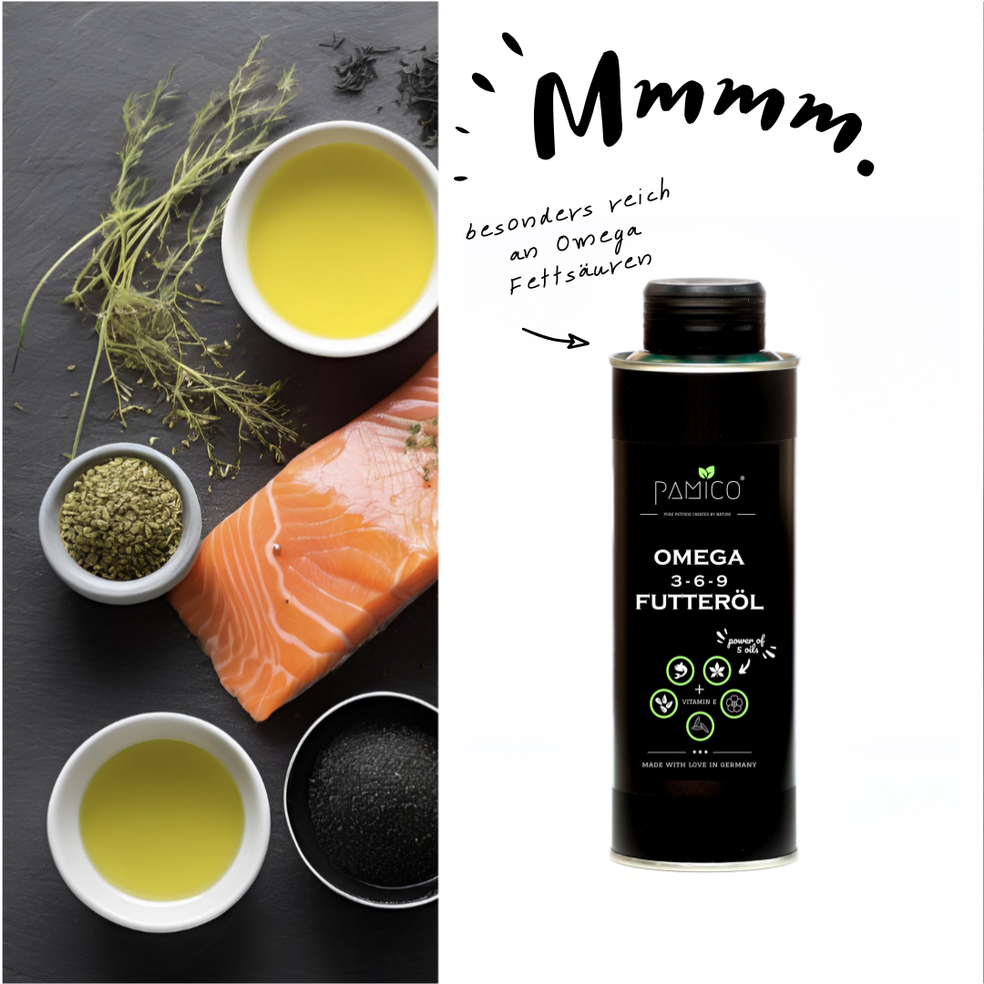 Futteröl Omega 3-6-9 + Vitamin E | Hochwertige Mischung aus Lachs-, Hanf-, Raps-, Nachtkerzen- und Schwarzkümmelöl | für BARF, Trockenfutter und Nassfutter - Pamico