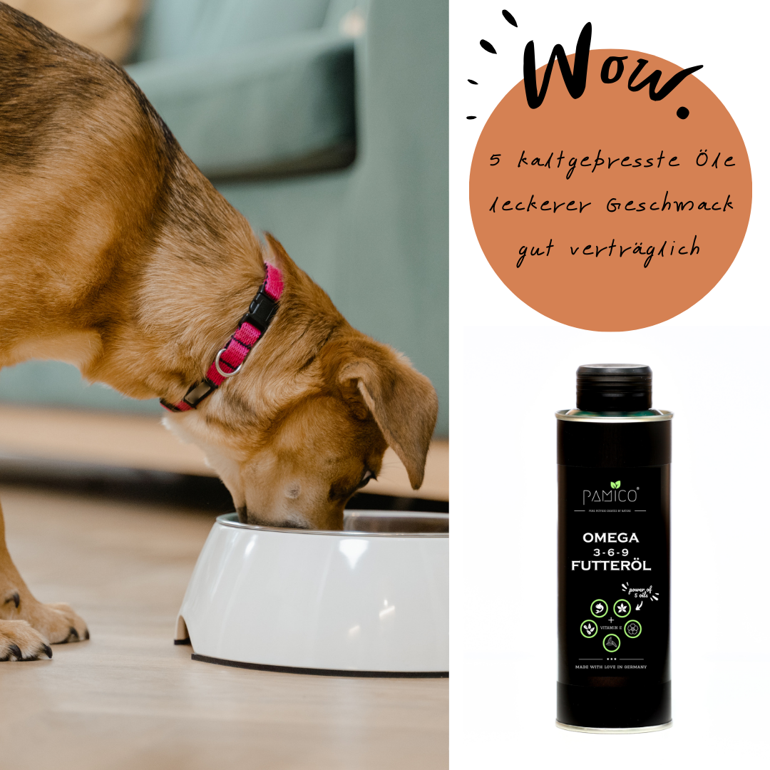 Futteröl Omega 3-6-9 + Vitamin E | Hochwertige Mischung aus Lachs-, Hanf-, Raps-, Nachtkerzen- und Schwarzkümmelöl | für BARF, Trockenfutter und Nassfutter - Pamico