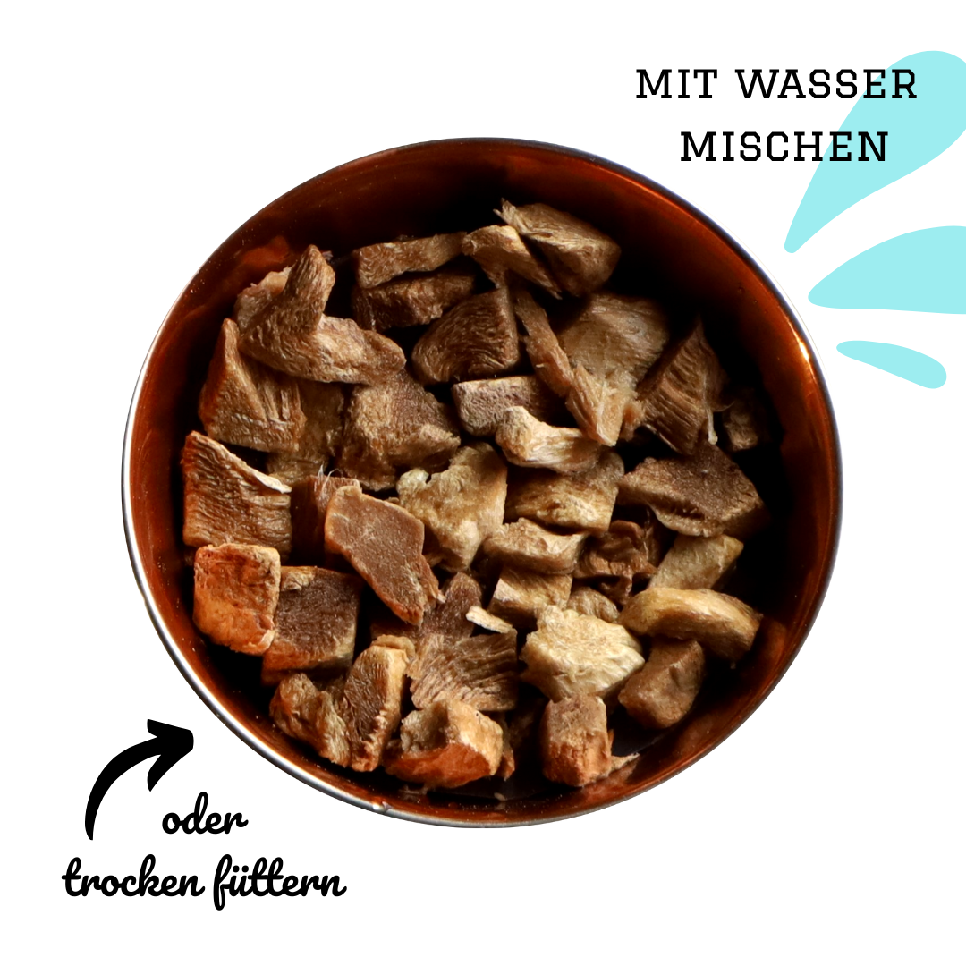 Entenbrust gefriergetrocknet MIX MEAL Trockenbarf für Hunde & Katzen Pamico