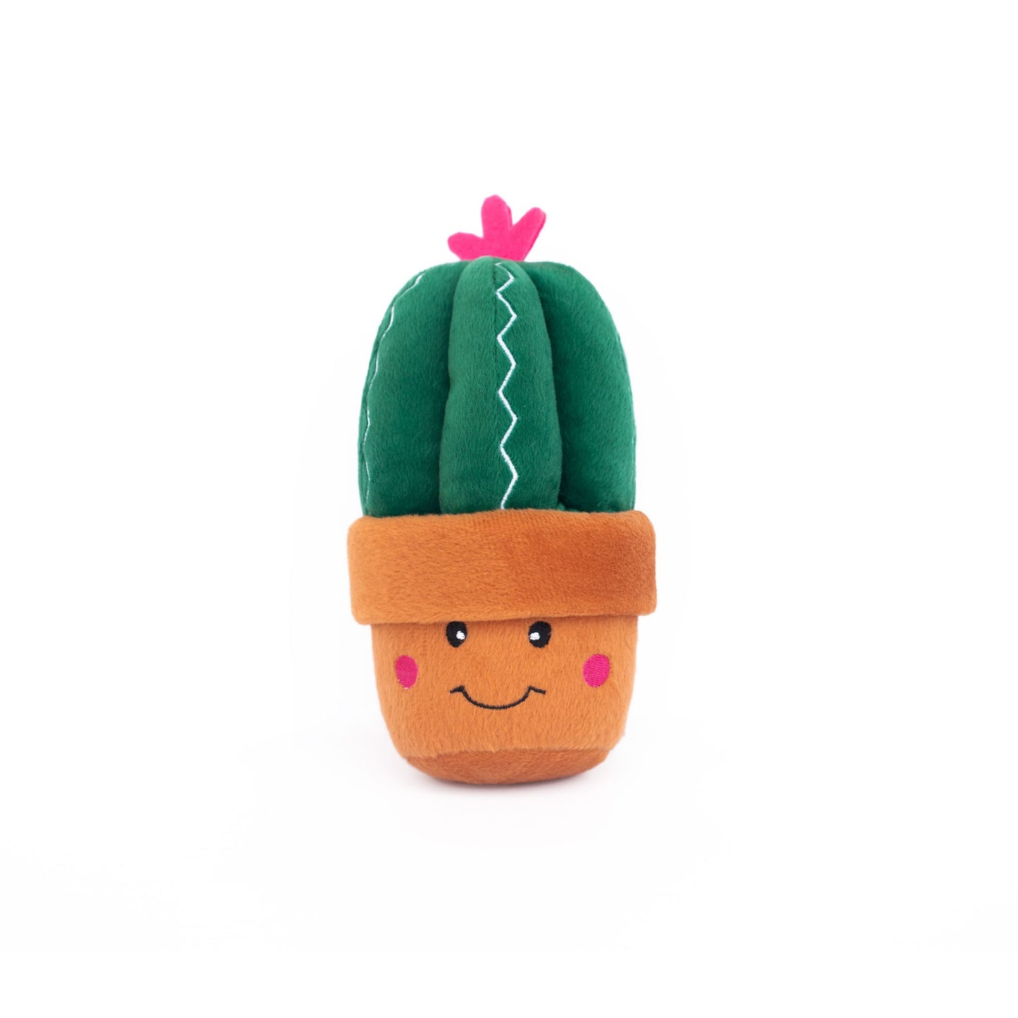 Carmen the Cactus - Hundespielzeug - Pamico