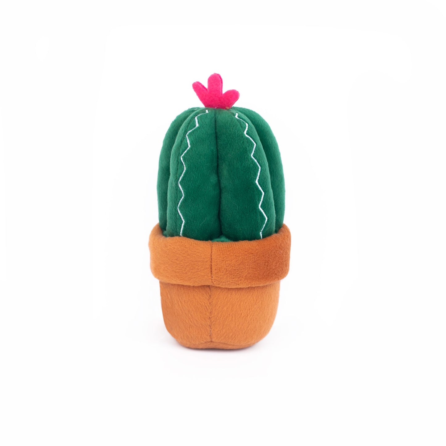Carmen the Cactus - Hundespielzeug - Pamico