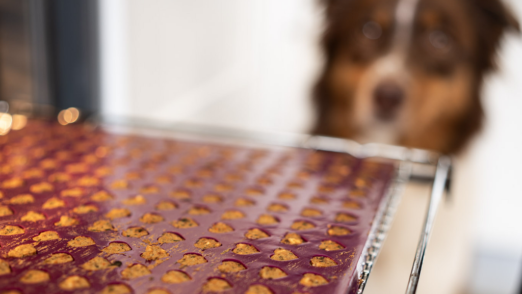 Backmatten für Hundekekse
