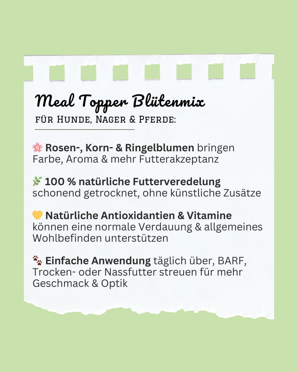 Bunte Blumen Gewürz Meal Topper - natürlicher Blumenmix für Hunde & Nager