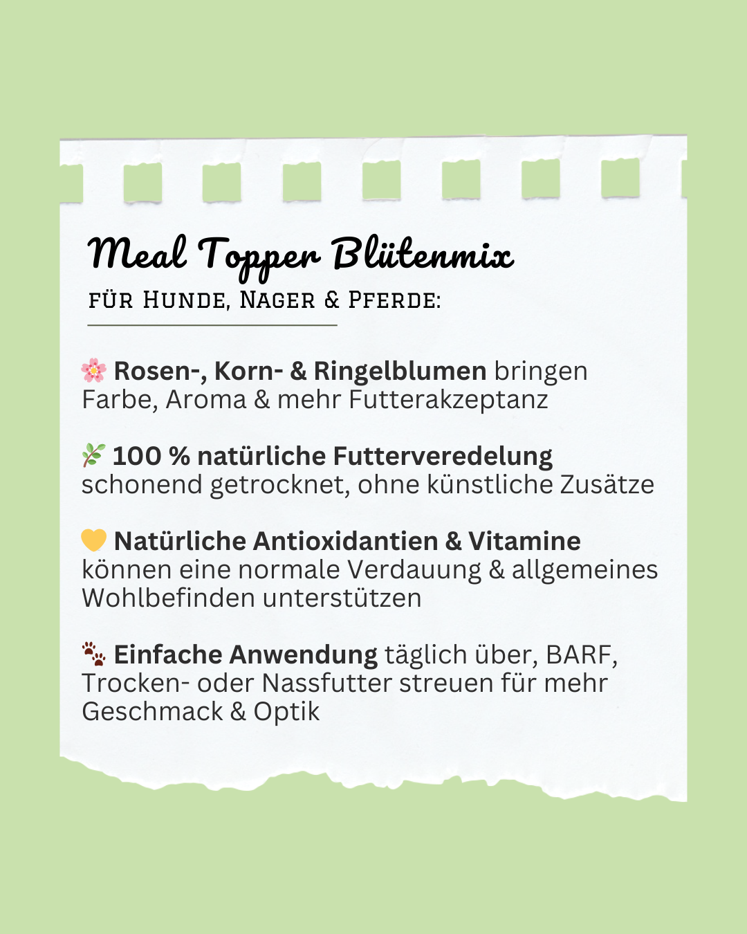 Bunte Blumen Gewürz Meal Topper - natürlicher Blumenmix für Hunde & Nager
