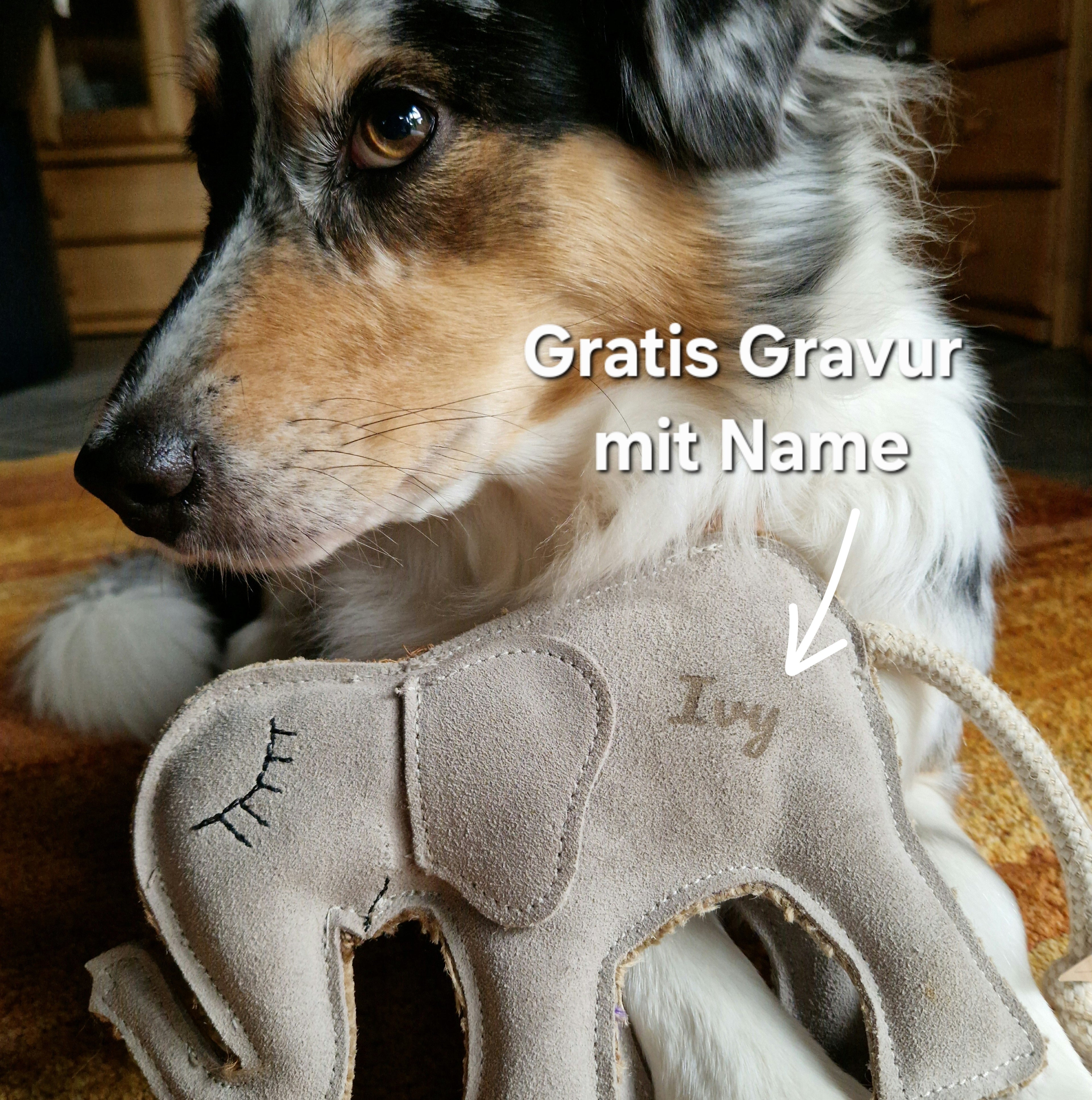 Hundespielzeug aus Leder "Elefant" BUDDY.