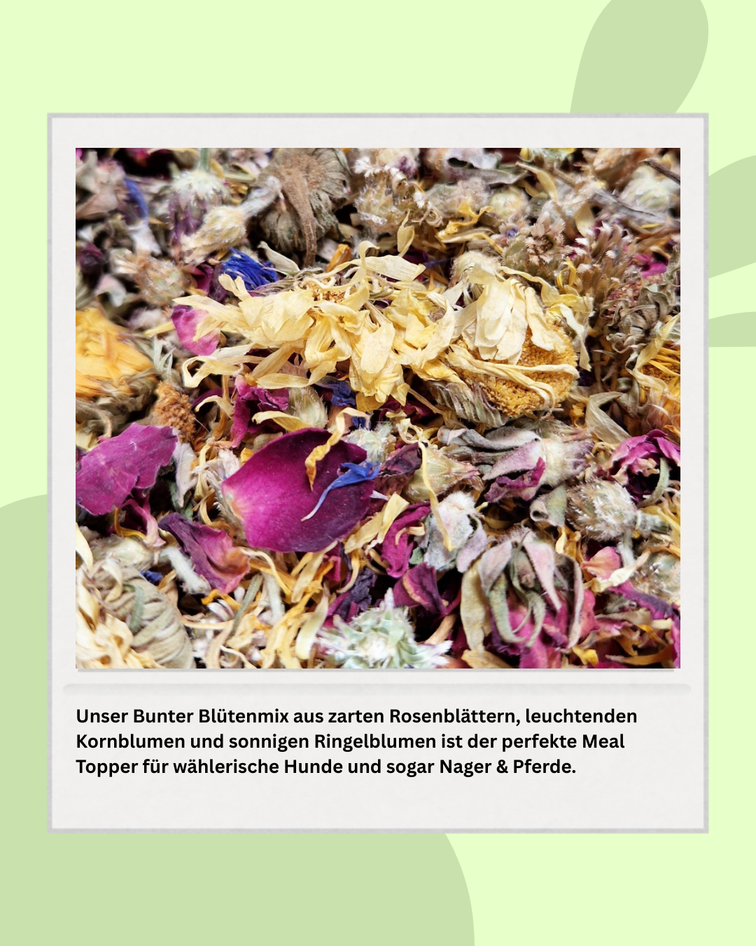 Bunte Blumen Gewürz Meal Topper - natürlicher Blumenmix für Hunde & Nager