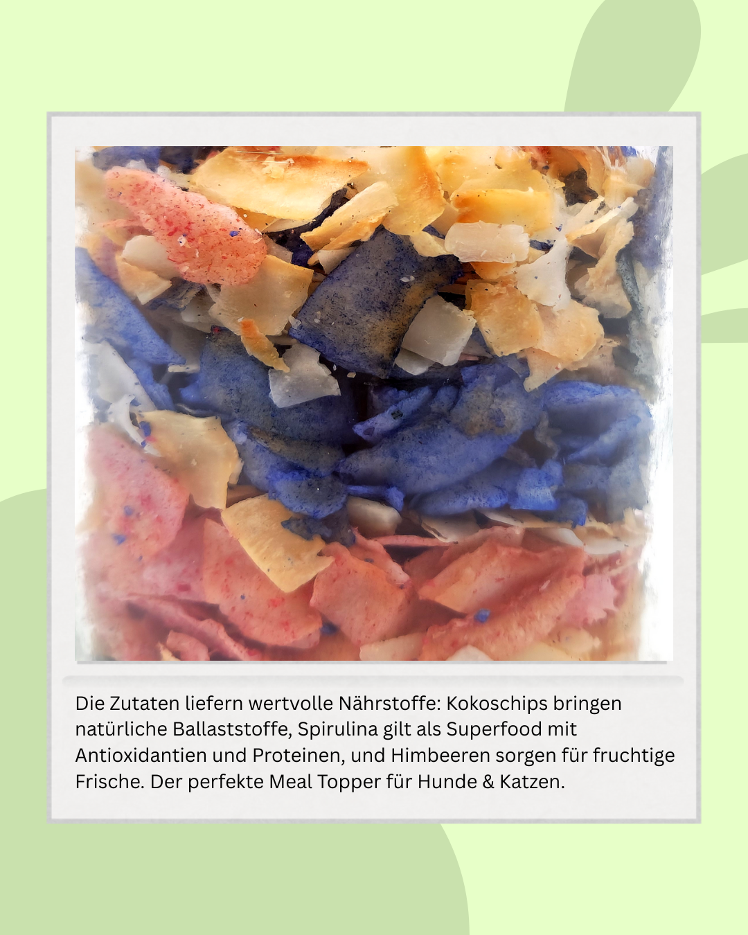 Buntes Kokos Gewürz Meal Topper - Regenbogen Kokos Topping für Hunde & Katzen
