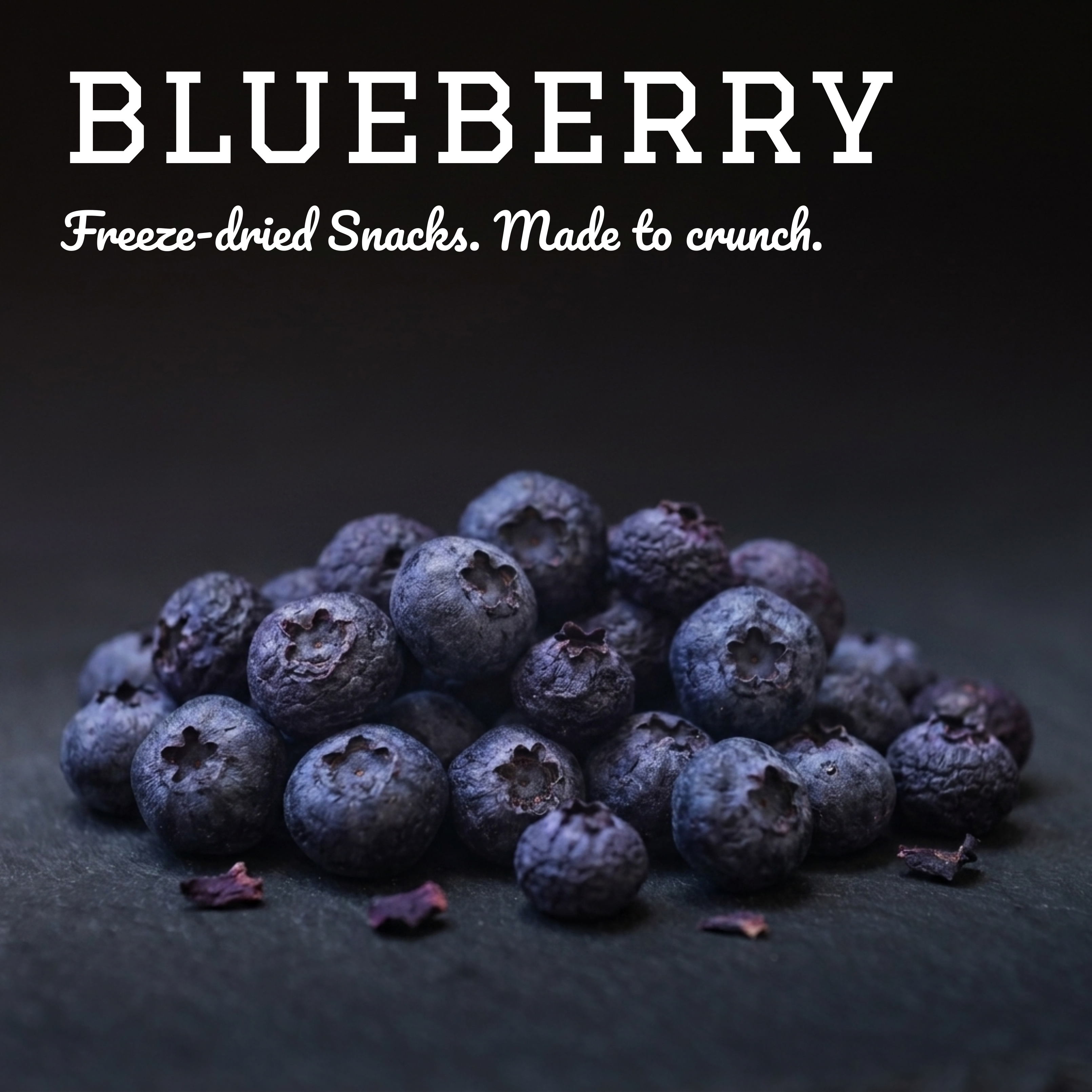 Gefriergetrocknete Blaubeeren für Hunde & Katzen - Vitaminreicher Fruchtsnack