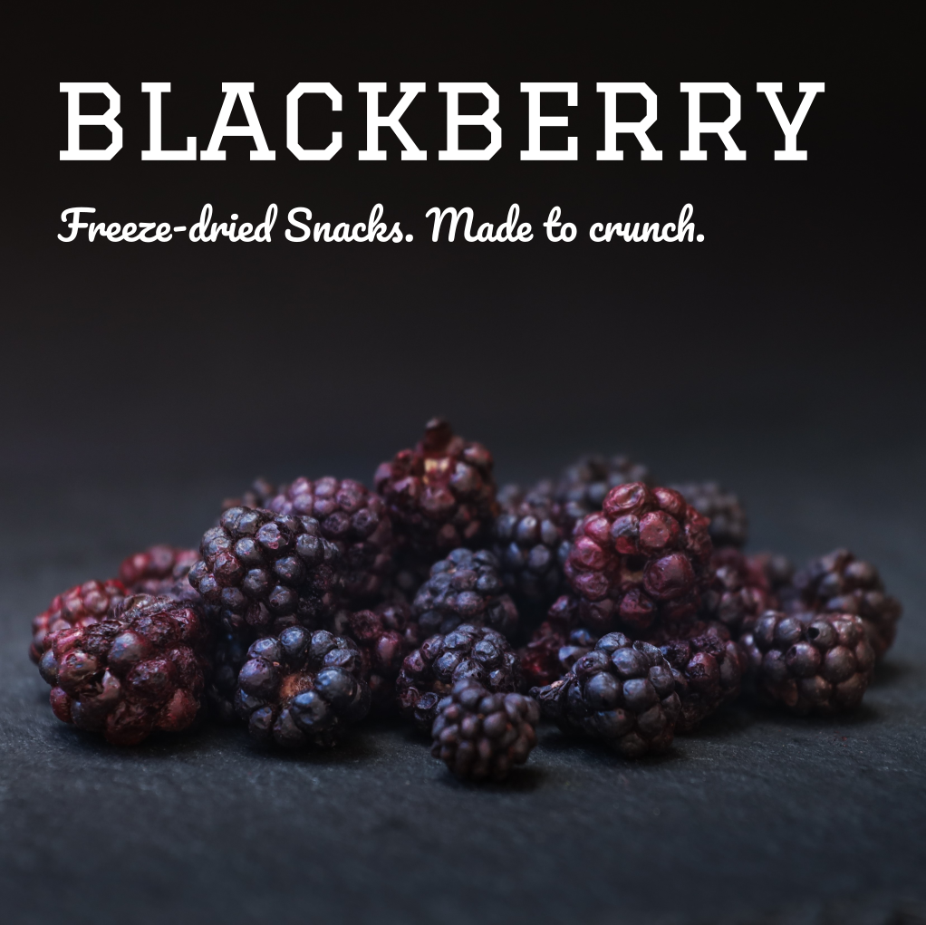 Gefriergetrocknete Brombeeren Goodies für Hunde & Katzen – Vitaminreicher & natürlicher Snack Pamico