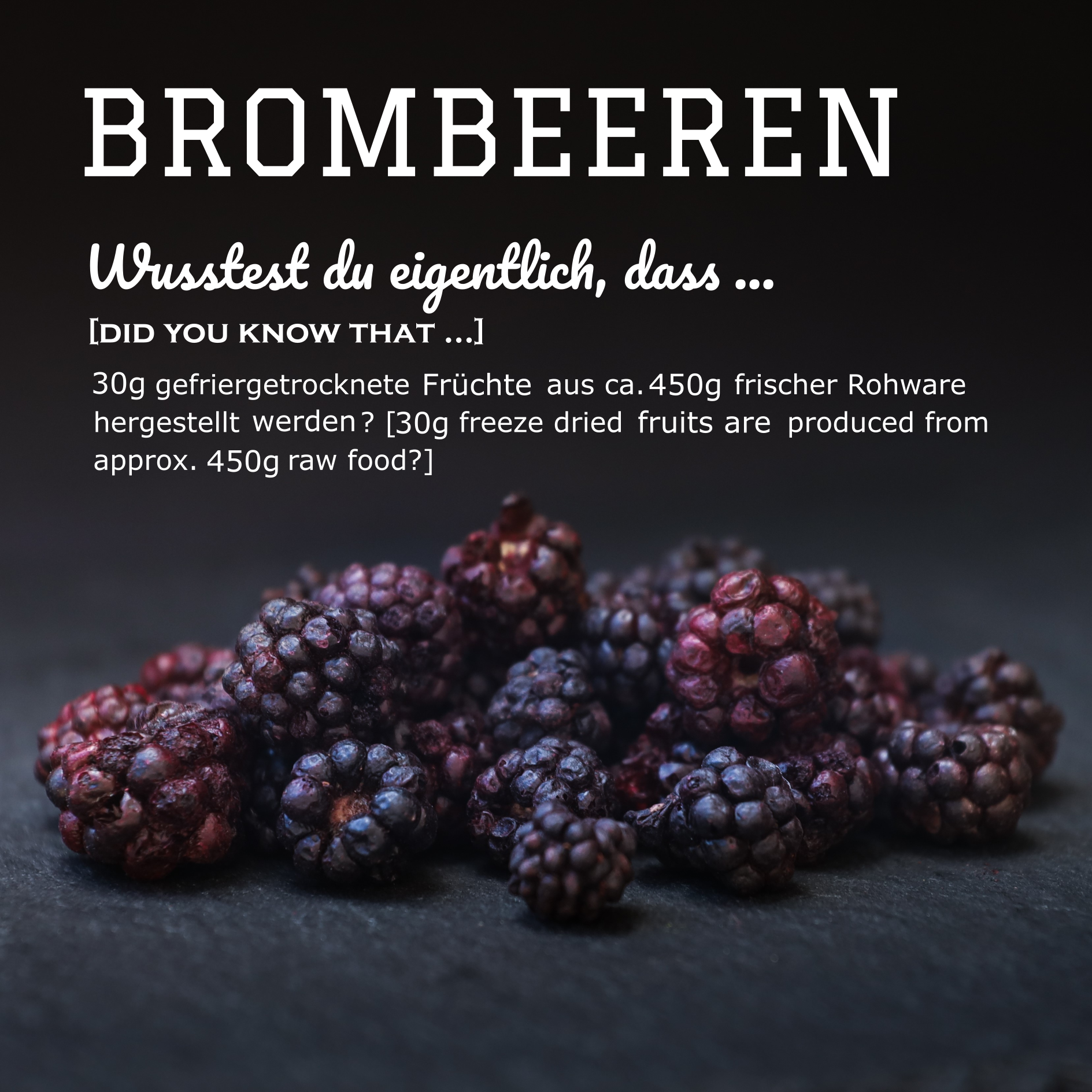 Gefriergetrocknete Brombeeren Goodies für Hunde & Katzen – Vitaminreicher & natürlicher Snack