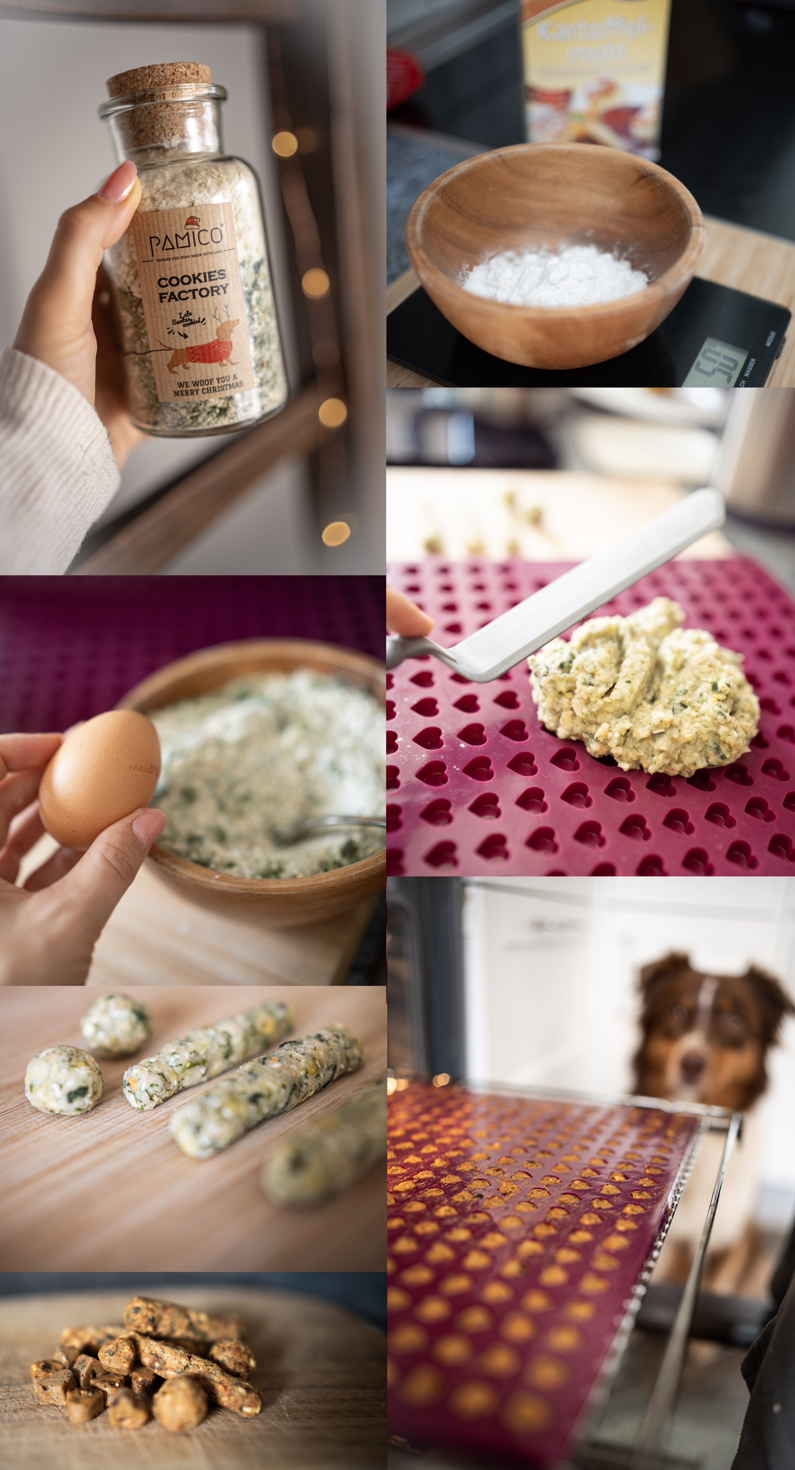 Cookies Factory Backmischung für Hundekekse - Pamico
