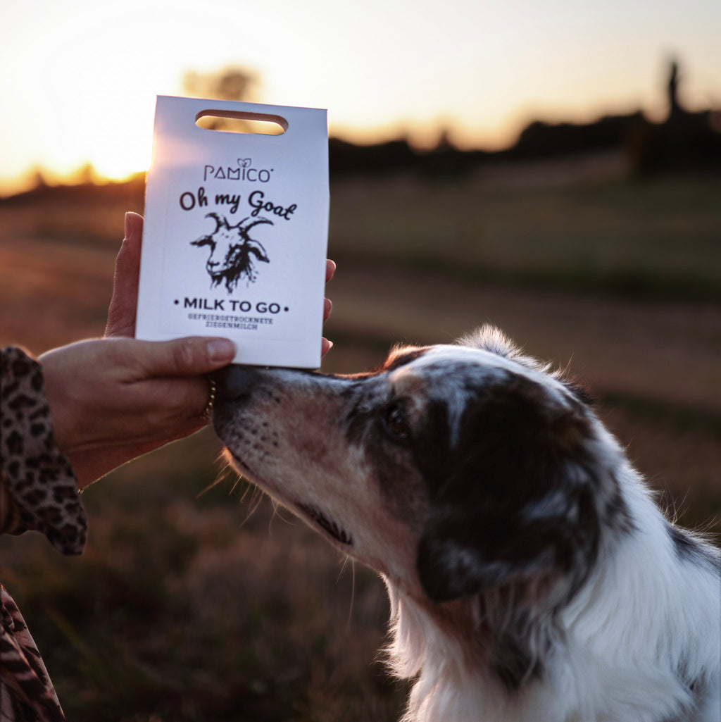 Goatmilk to go für Hunde