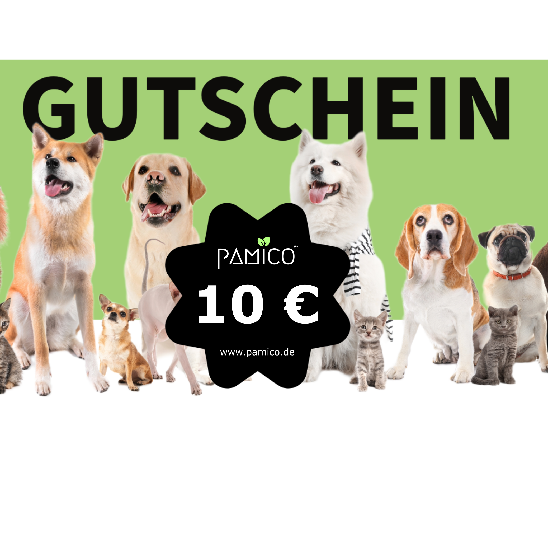 Pamico Geschenkgutscheine - Pamico