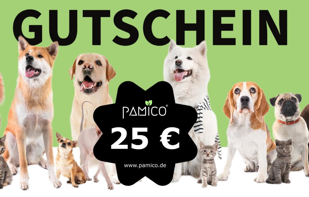 Pamico Geschenkgutscheine - Pamico