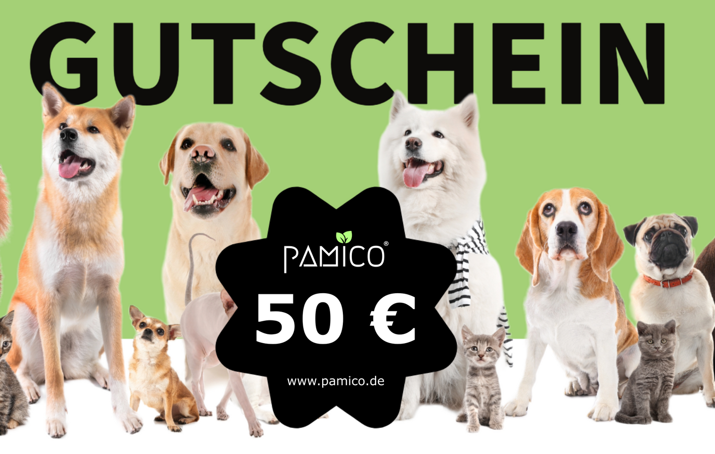 Pamico Geschenkgutscheine