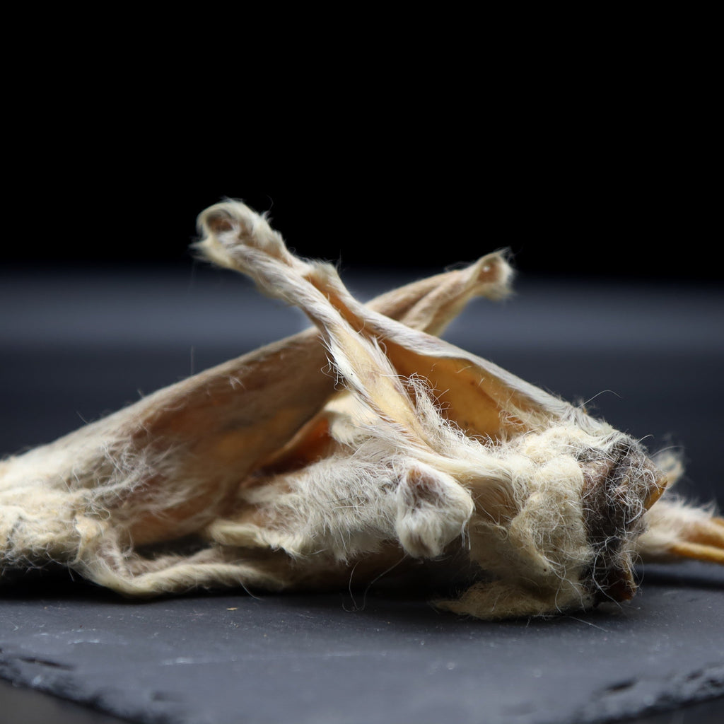 Lammohren mit Fell Kauartikel luftgetrocknet für Hunde - 500g Vorteilspack Pamico