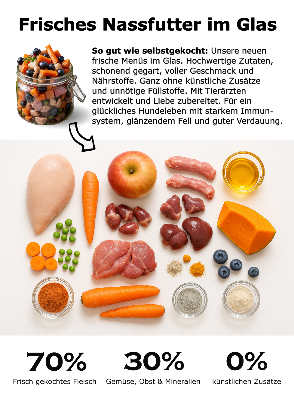 Dog Bowl Hühnerfleisch mit Zucchini, Reis und Mango