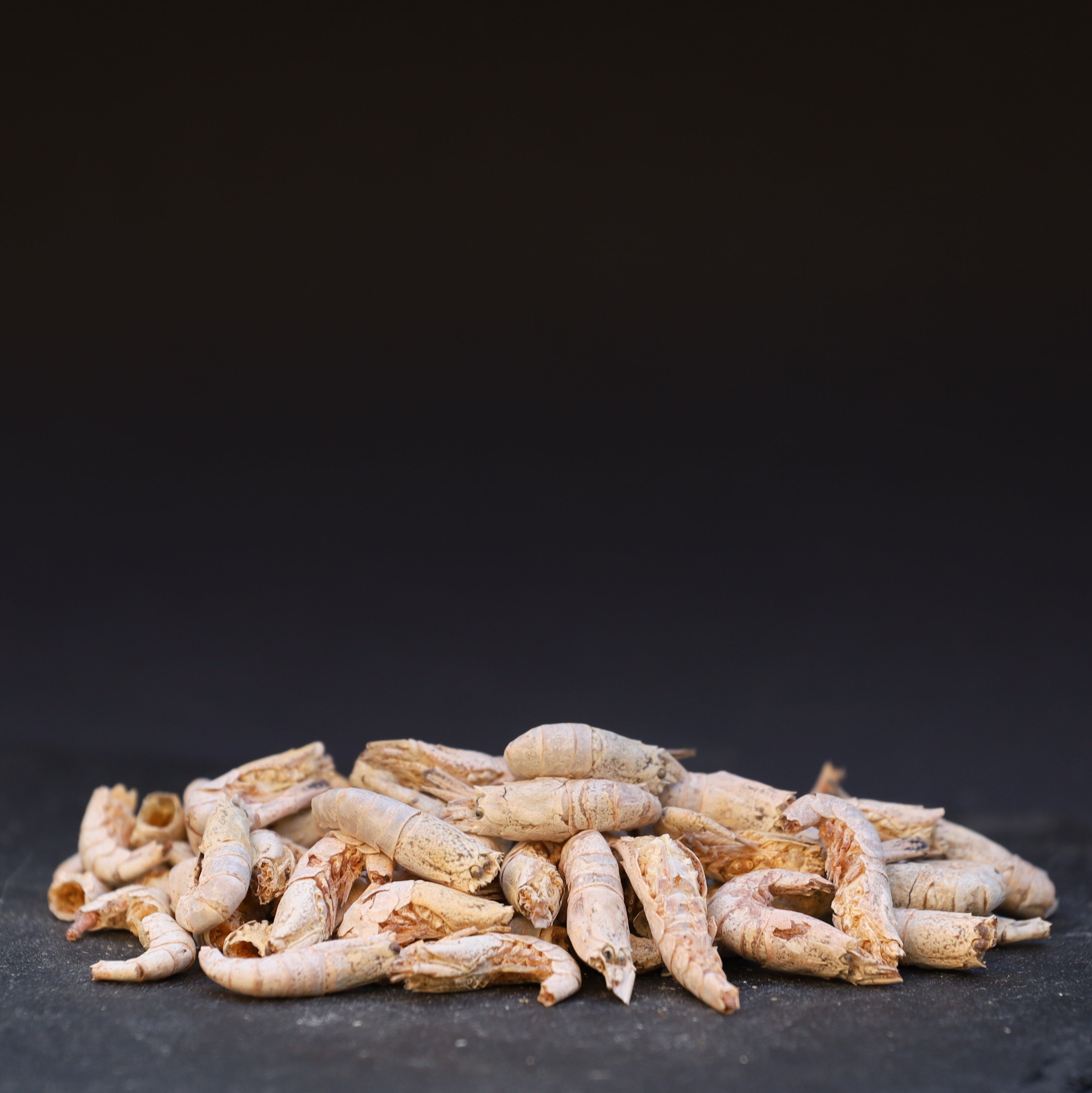 Nordseekrabben gefriergetrocknet - BARF Snack Goodies for dogs & cats Pamico