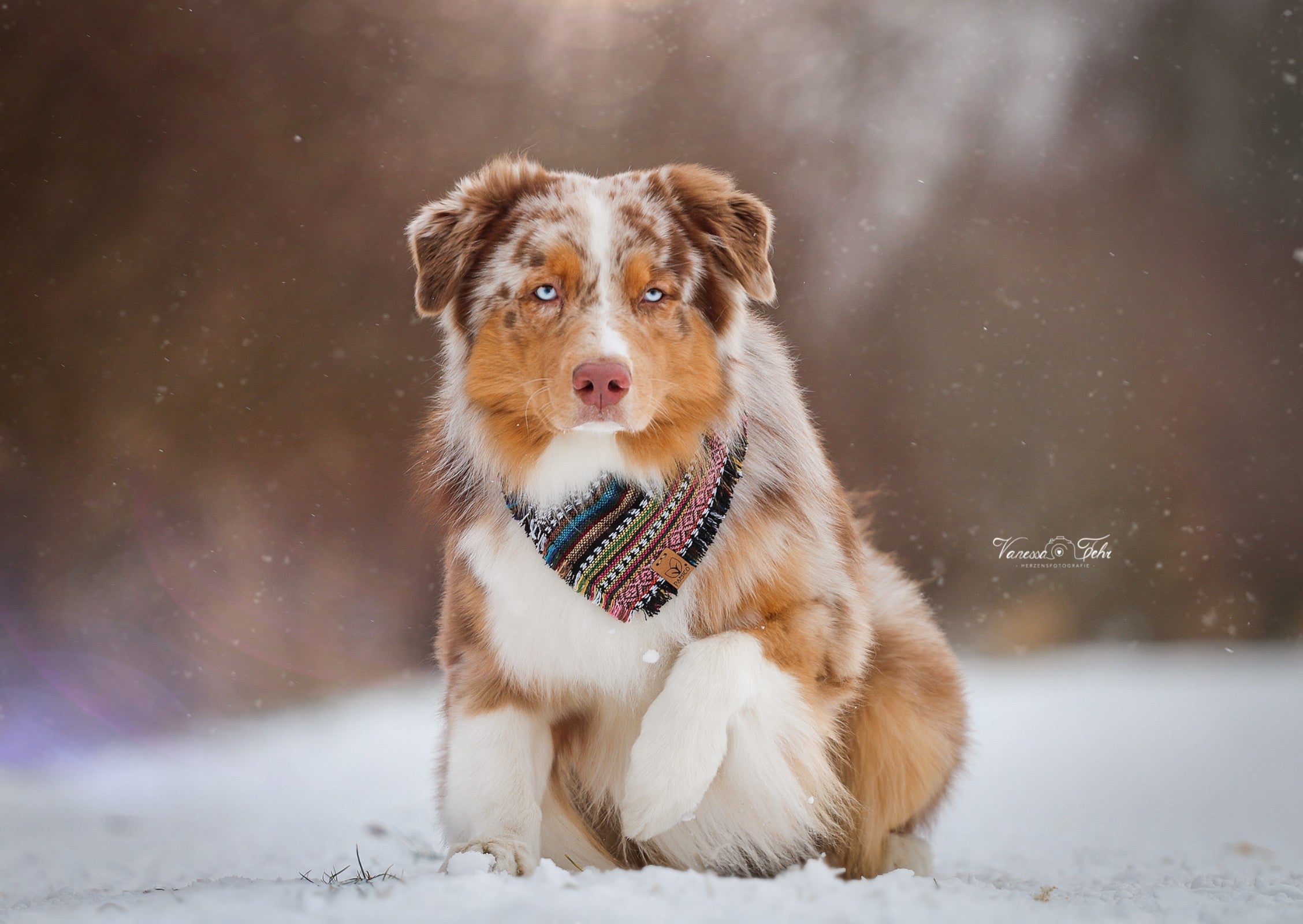 Hundehalstuch APONI