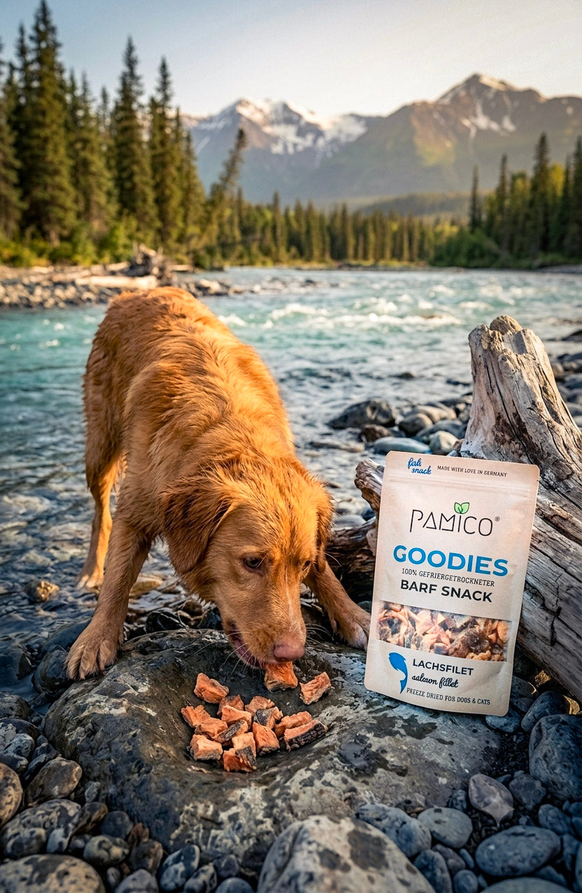 Lachsfilet gefriergetrocknet - BARF Snack Goodies for dogs & cats Pamico
