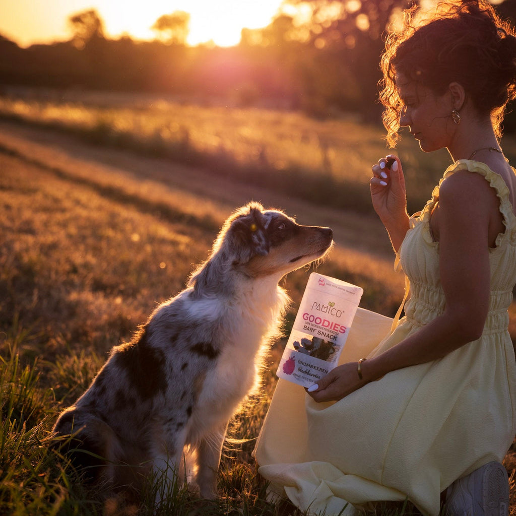 Gefriergetrocknete Erdbeeren für Hunde & Katzen - Natürlicher Fruchtsnack Pamico