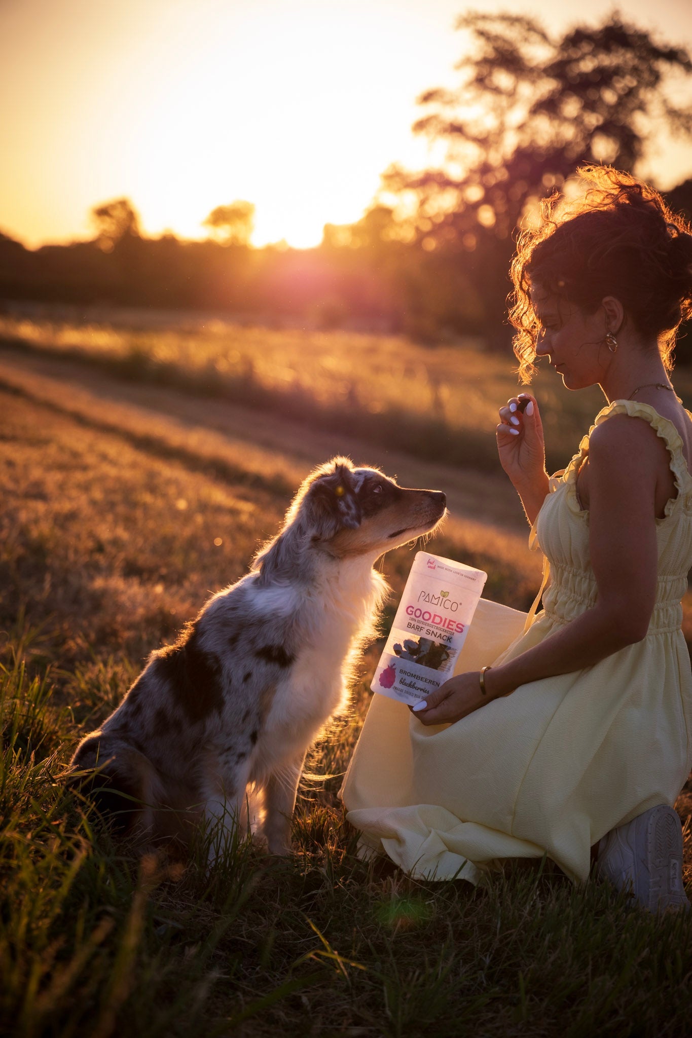 Gefriergetrocknete Mango Goodies für Hunde & Katzen – fruchtiger Snack Pamico
