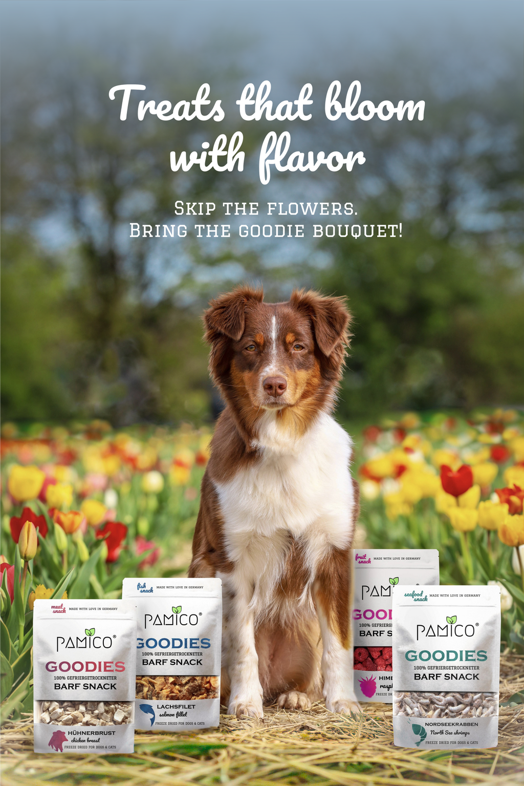 Gefriergetrocknete Mango Goodies für Hunde & Katzen – fruchtiger Snack Pamico