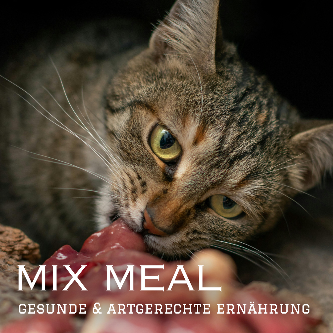 Entenbrust gefriergetrocknet MIX MEAL Trockenbarf für Hunde & Katzen